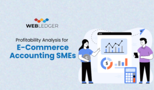 Profitability analysis for e-commerce accounting SMEs accounting dashboard